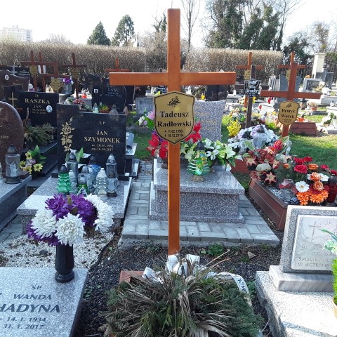 Grób Tadeusz Radłowski