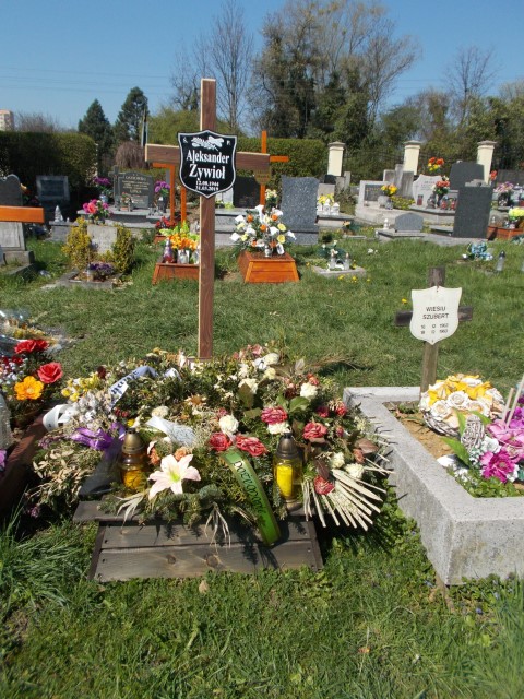 Grób Aleksander Żywioł