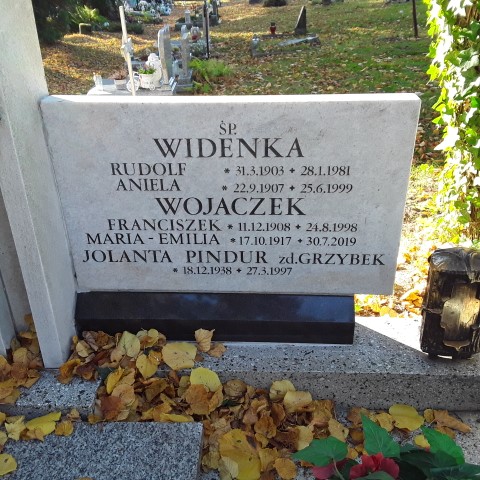 Grób Rudolf Widenka