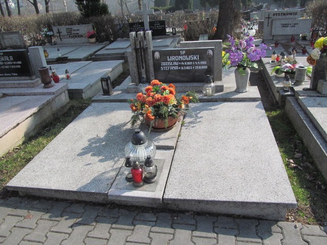Grób Stefania Wronowska