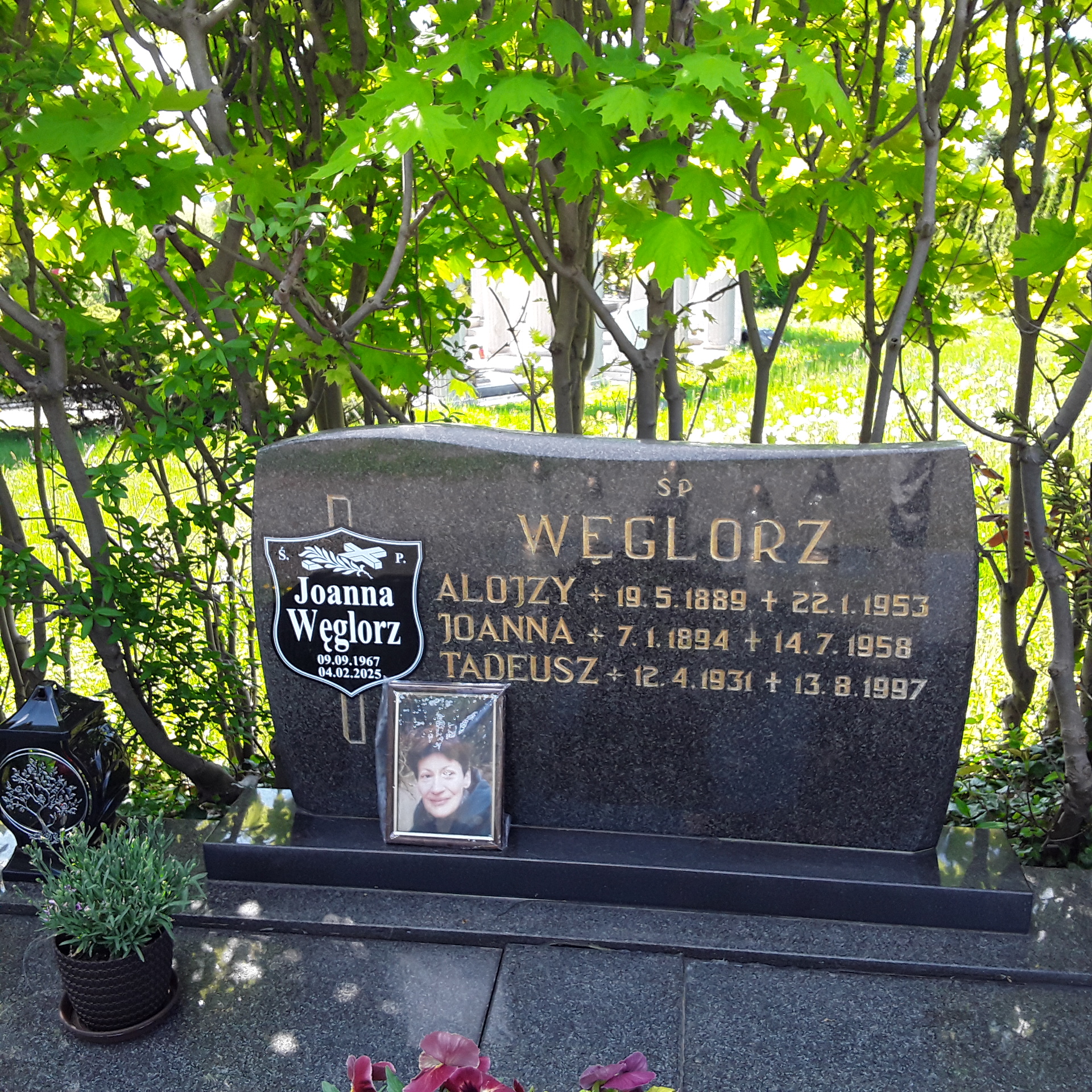 Grób Joanna Węglorz